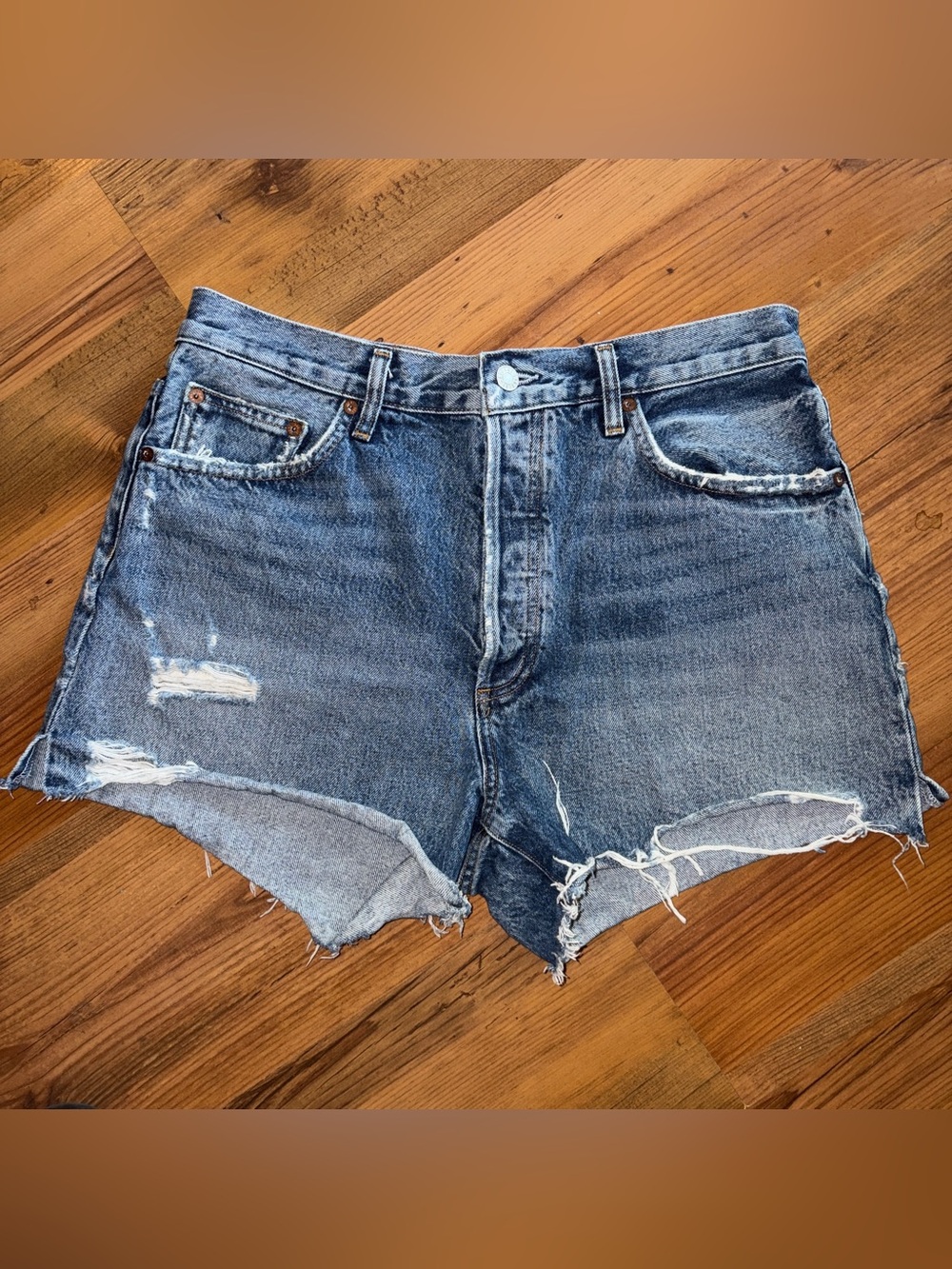 Agolde Denim Jean Dee Short 31